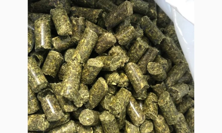 Продам Люцерна Гранульована - фото № 1