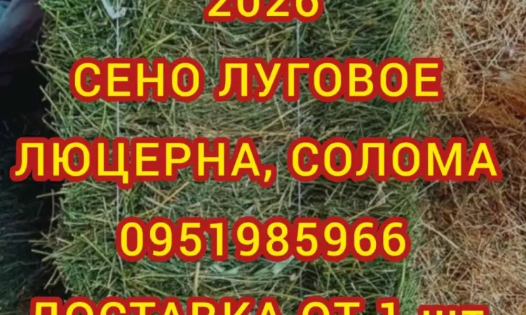 Продажа сена различных видов в тюках мешках - фото № 1