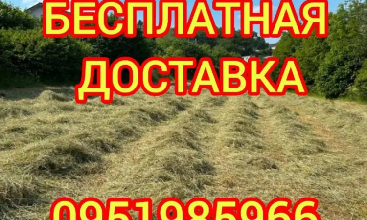 СЕНО в тюках. Великі обсяги. Лугове, люцерна, солома в тюках з безкоштовною доставкою - фото № 1