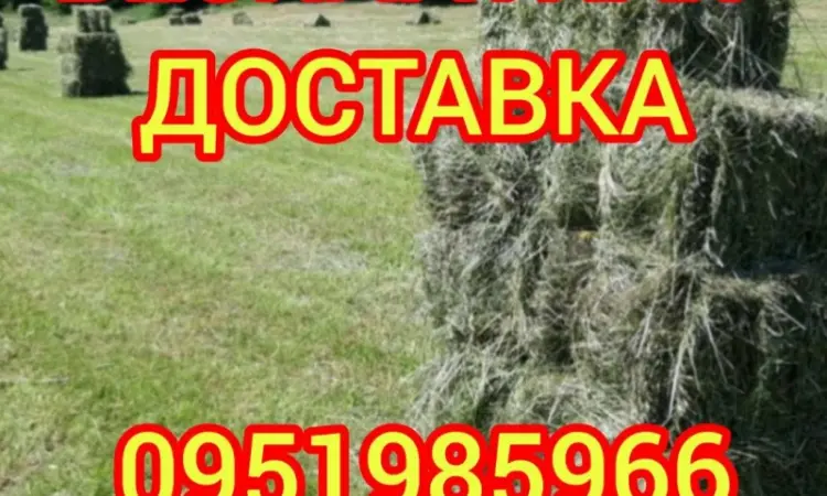 СЕНО в тюках. Великі обсяги. Лугове, люцерна, солома в тюках з безкоштовною доставкою - фото № 2