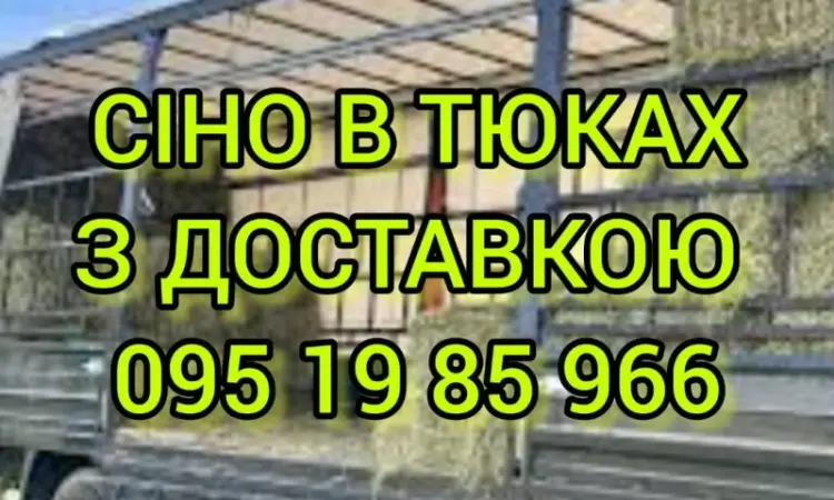 СЕНО в тюках. Великі обсяги. Лугове, люцерна, солома в тюках з безкоштовною доставкою - фото № 1