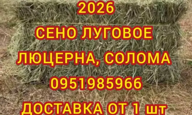Сено, солома з безкоштовною доставкою по Україні. У тюках, мішках. Поштучно / опт - фото № 1