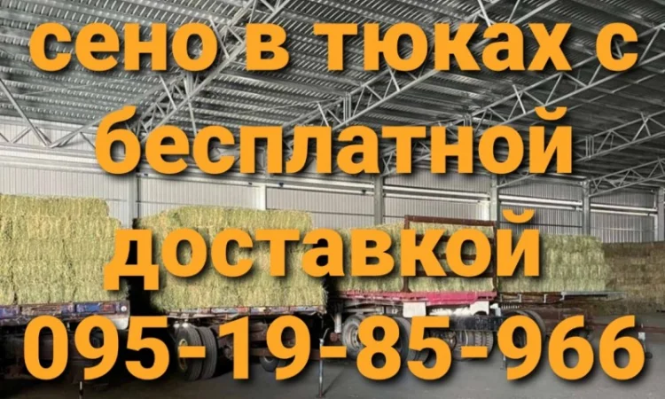 Есть в наличии! Большие объёмы. Сено люцерны, луговое, солома. Бесплатная доставка - фото № 1