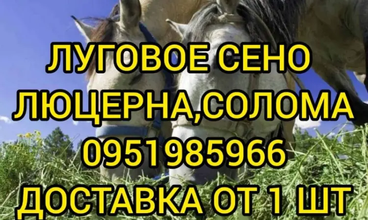 Есть в наличии! Большие объёмы. Сено люцерны, луговое, солома. Бесплатная доставка - фото № 1
