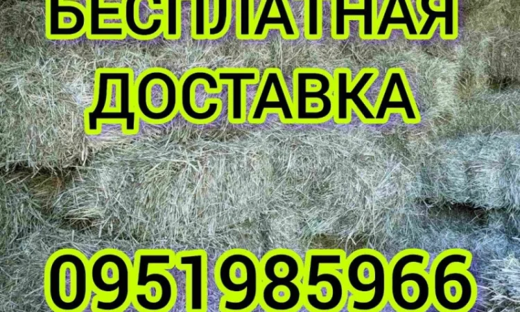 Продажа сена (луговое, люцерна), солома в тюках, мешках - фото № 1