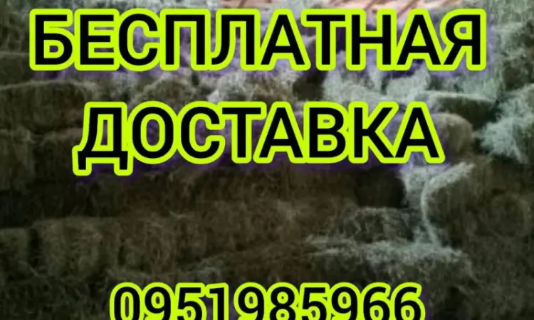 ЛЮЦЕРНА в тюках с бесплатной доставкой. Есть б.н. Объёмы. Качество - фото № 1