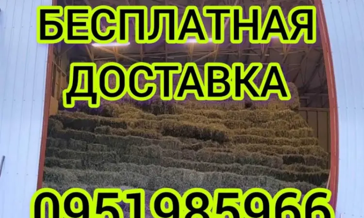 Сено люцерни в тюках. Безкоштовна доставка по Україні. Об'єми - фото № 1