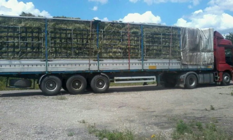 Сено люцерни та лугове - доставка включена у вартість - фото № 1