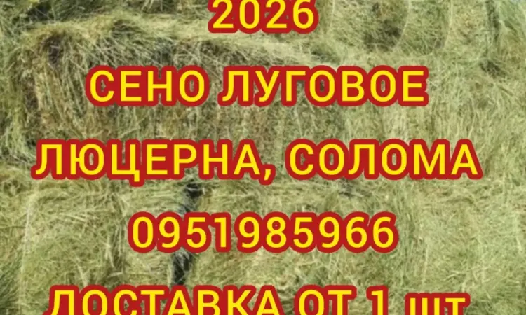 Сено в тюках з безкоштовною доставкою по Україні. Великі обсяги - фото № 1