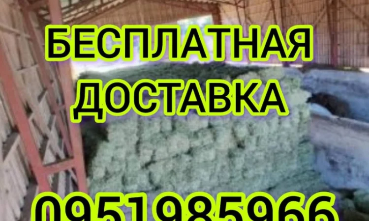 Продам луговое сено в тюках, люцерну, солому из зерновых с доставкой на дом - фото № 1