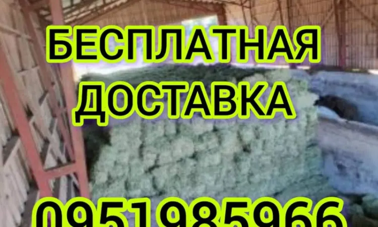 Продам лугове сіно в тюках, люцерну, солому із зернових з доставкою на дім - фото № 1