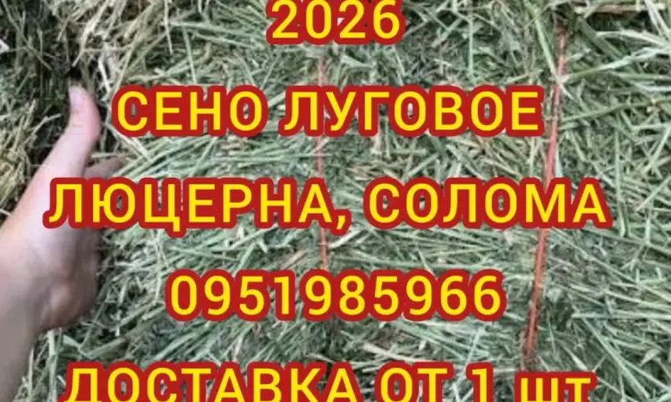 Сіно лугове, Сіно люцерни. Доставка. Обсяги. Якість - фото № 1