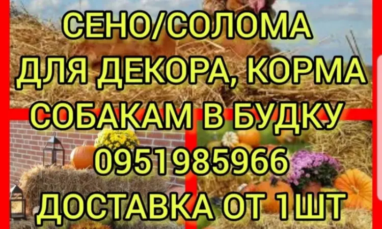 Продам сено: лугове, люцерну. Доставка. Є можливість оплати по б.н - фото № 1