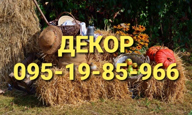 Сено солома сіно для декора в тюках мешках с доставкой - фото № 1