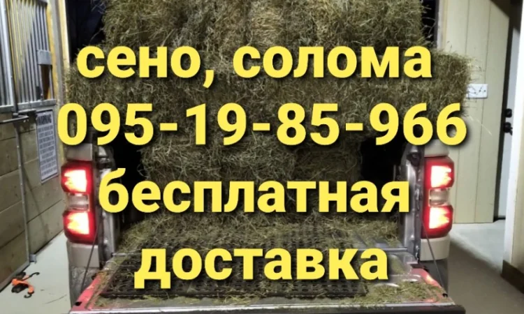 Сено солома сіно для декора в тюках мешках с доставкой - фото № 2