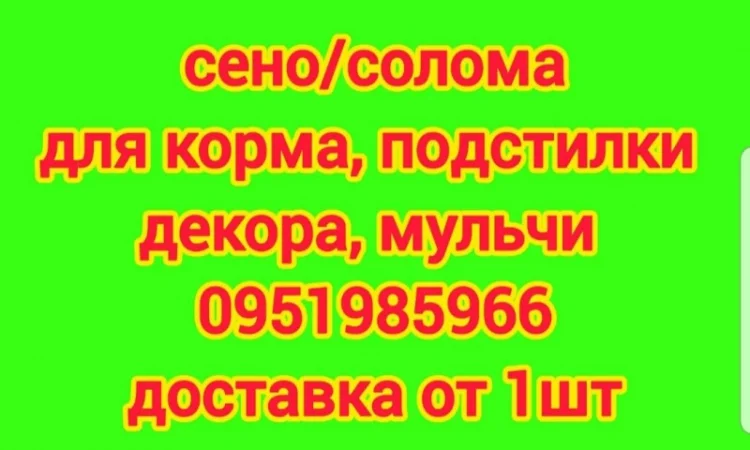 Люцерна, луговое сено в тюках. Бесплатная доставка - фото № 1