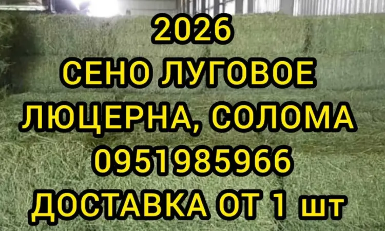 Люцерна, лугове сіно в тюках. Безкоштовна доставка - фото № 1