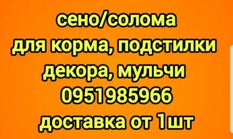 Сено для сельхозживотных с бесплатной доставкой по Ровенской области - фото № 1
