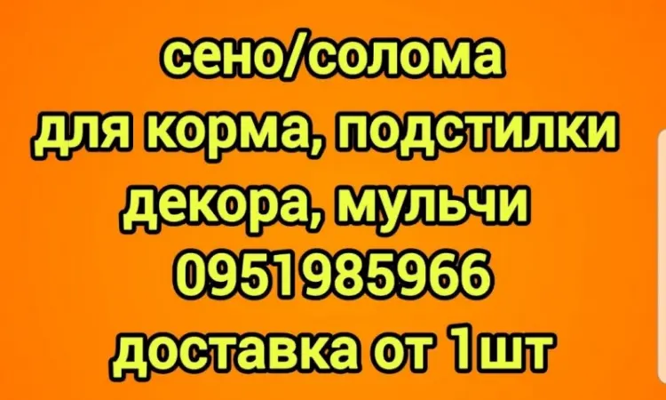 Сено для сільгосптварин з БЕЗКОШТОВНОЮ доставкою. Лугове, люцерна, солома - фото № 1
