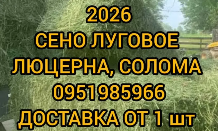 Сено для сільгосптварин з БЕЗКОШТОВНОЮ доставкою. Лугове, люцерна, солома - фото № 1
