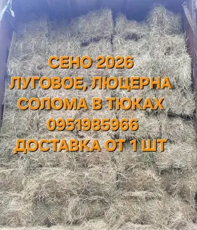 Продам Сено для сільськогосподарських тварин. Відмінна якість. Низькі ціни. Доставка безкоштовно - фото № 1