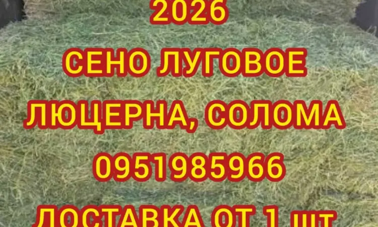 Безкоштовна доставка сіна в тюках мішках (лугове, люцерна, солома) - фото № 1