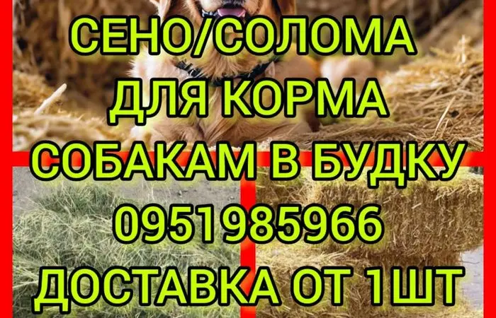 Безкоштовна доставка сіна в тюках мішках (лугове, люцерна, солома) - фото № 1