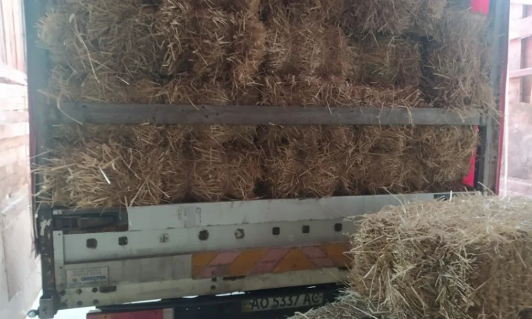 Сіно в тюках лугове різнотравя. Урожай 2022 року - фото № 1