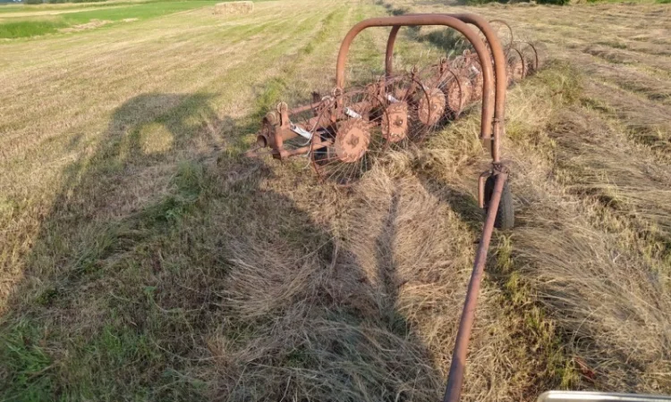 Сено в тюках луговое разнотравье.2022 года. Доставим - фото № 1