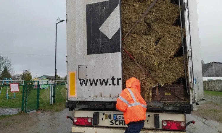 Сено лугове 2022 року. Доставка по Рівненській області - фото № 1