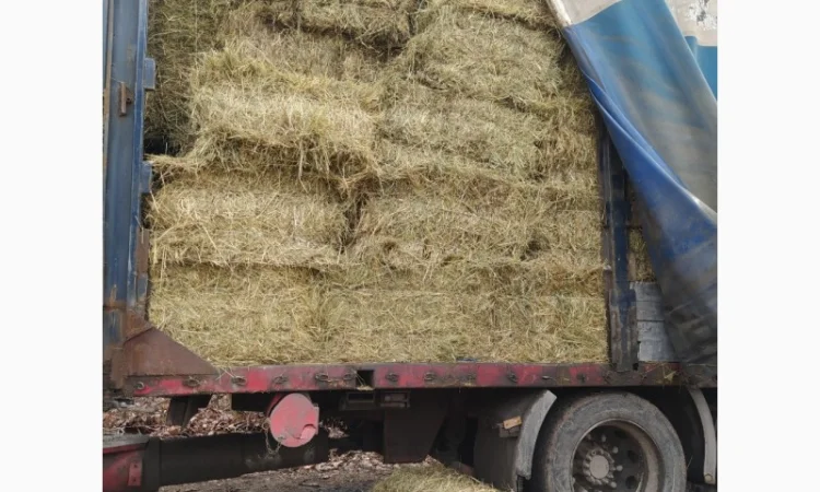 Луговое сено в тюках. Урожай 2022. Без предоплат - фото № 1