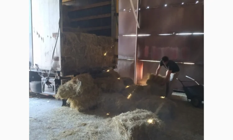 Луговое сено в тюках. Урожай 2022. Без предоплат - фото № 4