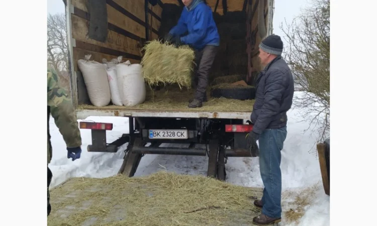 Сено лугове, урожай 2022 року в тюках - фото № 2