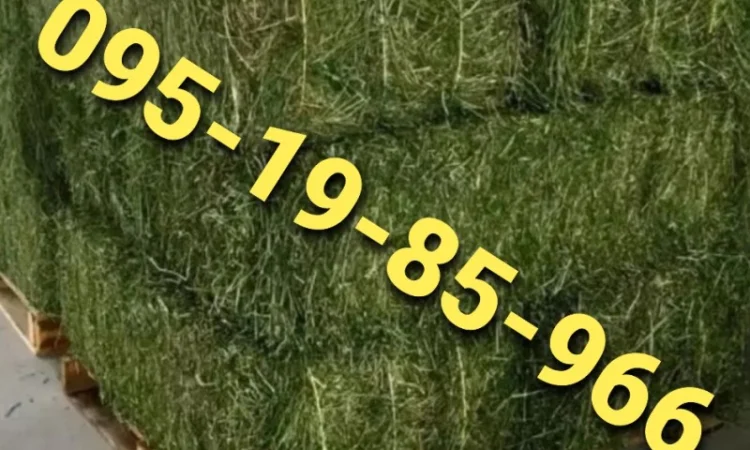 Лугове сено, люцерна та солома з доставкою по Україні - фото № 1