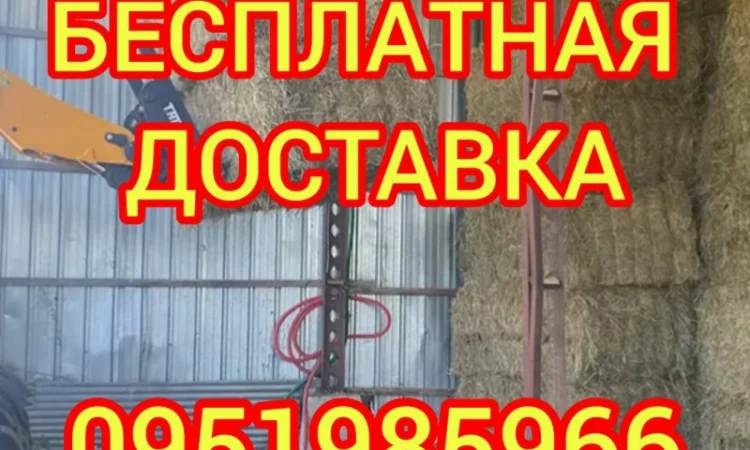 Сено, люцерна, солома, разнотравье. Возможна оплата по б/н - фото № 1