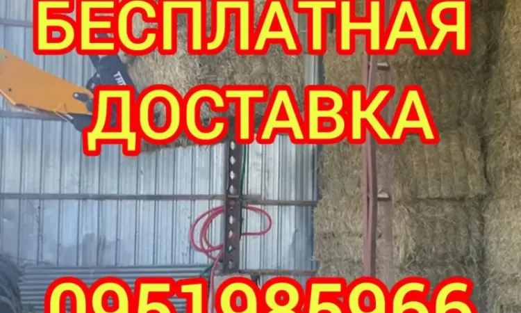 Сено, люцерна, солома, різнотрав'я. Можлива оплата по б/н - фото № 1