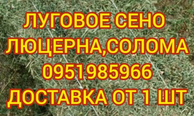 Сено, люцерна, солома, різнотрав'я. Можлива оплата по б/н - фото № 1