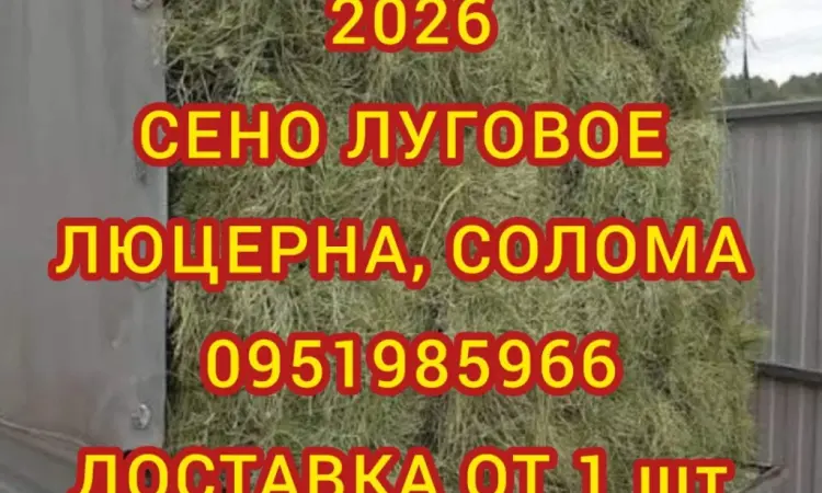 ДЛЯ ДЕКОРА, ФОТОСЕССИИ сено солома сіно в мешках, тюках. Доставка. Качество - фото № 1