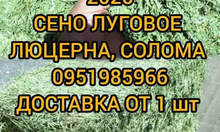 Продам 800т люцерни, лугового сіна. Наша доставка - фото № 1