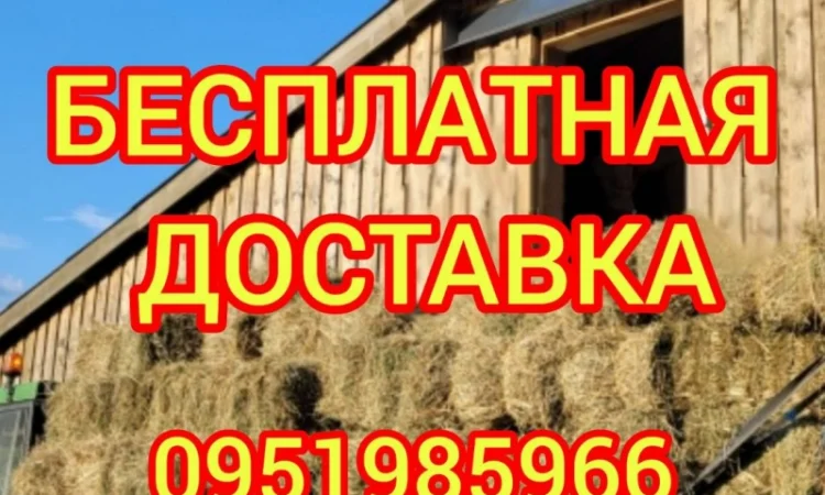 Сено с доставкой по Украине. Луговое (разнотравье), пырей, люцерна, солома в тюках мешках - фото № 1