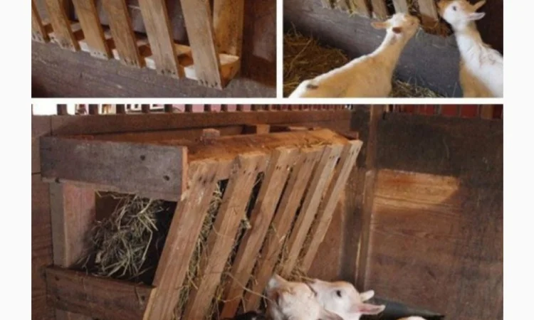 Сено с доставкой по Украине. Луговое (разнотравье), пырей, люцерна, солома в тюках мешках - фото № 3