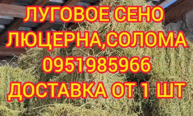 Сено с доставкой по Украине. Луговое (разнотравье), пырей, люцерна, солома в тюках мешках - фото № 1