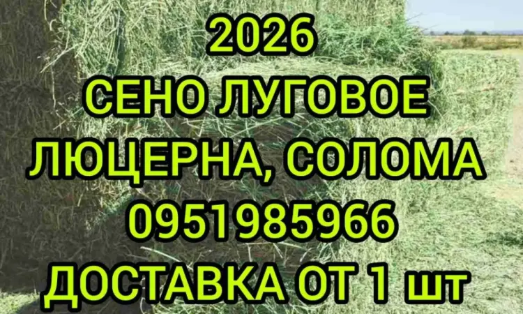 Собакам в будку сено солома в тюках мешках с доставкой на адрес. Отборное - фото № 1