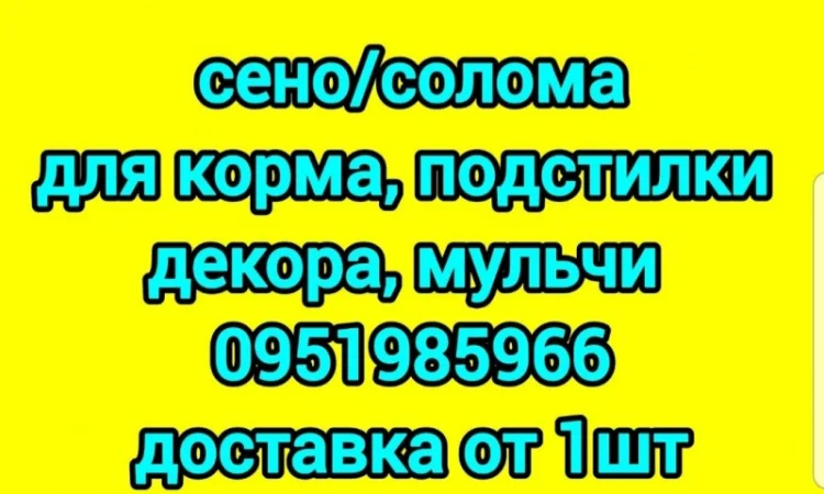 Продам сено луговое, сено люцерны с доставкой - фото № 1