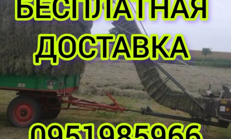 Большие объёмы в наличии. Сено с бесплатной доставкой по Украине. Луговое, люцерна, солома - фото № 1