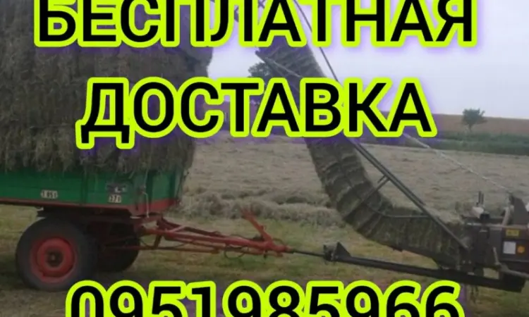 Великі обсяги в наявності. Сіно з безкоштовною доставкою по Україні. Лугове, люцерна, солома - фото № 1