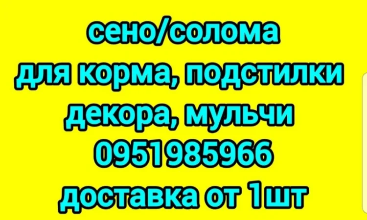 Экологически чистое сено в тюках. Большие объемы - фото № 1