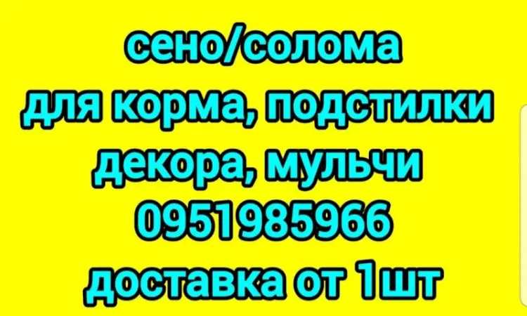 Екологічно чисте СІНО в тюках. Великі обсяги - фото № 1