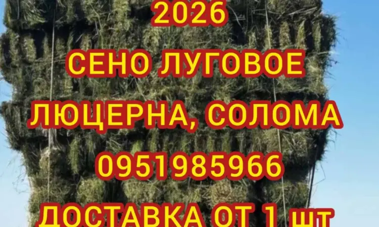 Екологічно чисте СІНО в тюках. Великі обсяги - фото № 1