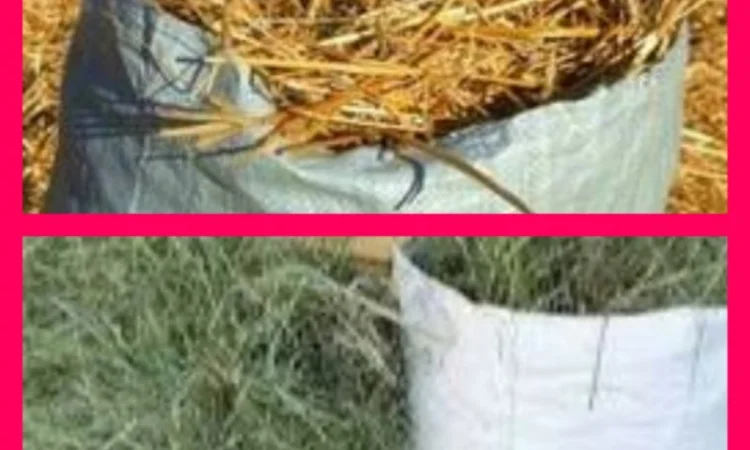 В продаже сено в тюках (луговое, люцерна, солома). Доставка. Нал, б/н - фото № 1